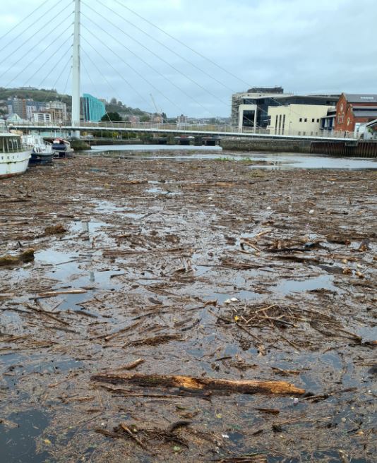 Tawe 20221111_02 Tawe flotsam and jetsam