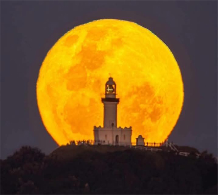 Harvest Moon Logo